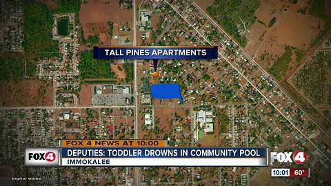 Deputies: Toddler Drowns in Immokalee Pool