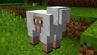 Minecraft, but it's all memes ft. grozni