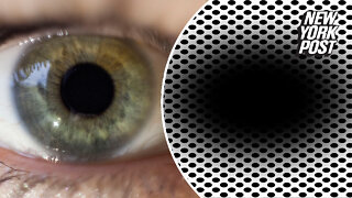 This optical illusion has a revelation about your brain and eyes