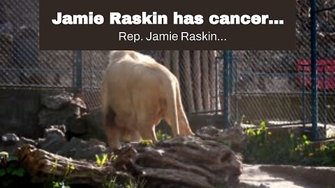 Jamie Raskin has cancer…