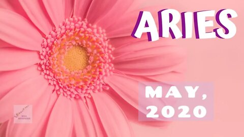 ♈ ARIES ♈ If You Take The Cue, You Will Come Out On Top * MAY 2020