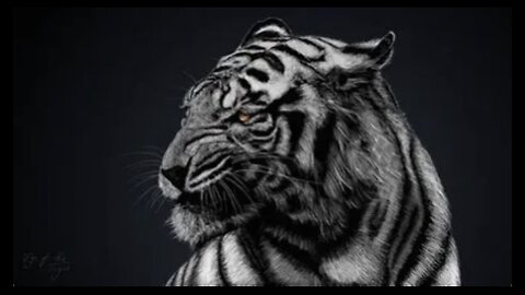 (Scotty Mar10) Survivor - Eye Of The Tiger
