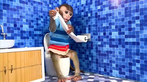 Monkey Baby Bon Bon oes to the toilet and plays with Ducklings in the swimming pool.