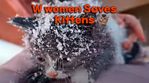 W women Saves Kittens Found inside a Box amidst the Snow