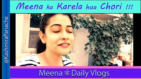 Karela bhi Koi Churata hai ??? | My new Vlog | हिंदी भाषा | #HindiVlogs #Meena
