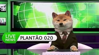 Plantão de Dúvidas Veterinárias #020 | Dr Edgard Gomes