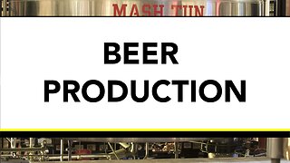 Beer Production - Segment