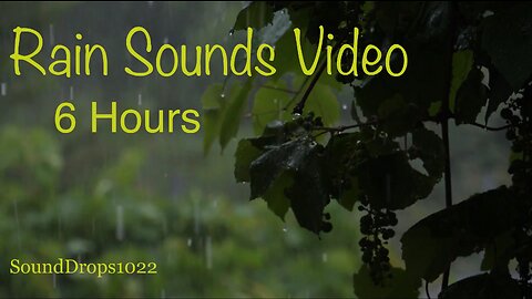 6 Hours Of Rain Sounds Video For Studying And Relaxing
