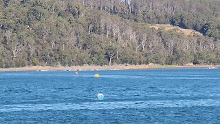 2024 Cock of The Mersey Power Boat Race #Palmers #Tasmaniapowerboats