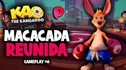 Kao the Kangaroo - Parque dos macacos / Gameplay #6