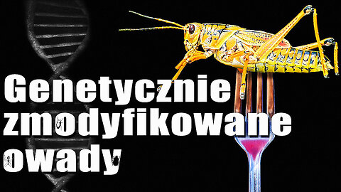 Genetycznie zmodyfikowane owady - Czy ryzyko jest celowe? (kla.tv) - lektor PL