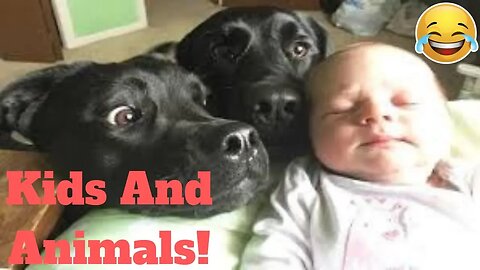 Funniest Pets Meet The Cutest Kids And Babies Weekly😂 of 2019_ Funny Animal Videos👌