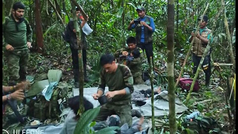 Exitoso rescate de 4 niños 40 días después del accidente de avión en selva amazónica