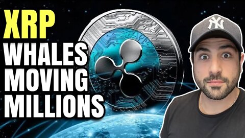 💰 XRP RIPPLE WHALES MOVING MILLIONS | BITCOIN TO $50K SOON | VRA & UFO GAMING UNDERVALUED GEMS