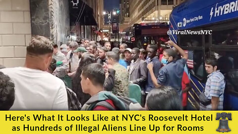 Here's What It Looks Like at NYC's Roosevelt Hotel as Hundreds of Illegal Aliens Line Up for Rooms