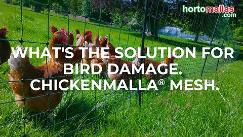 What's the solution for bird damage. CHICKENMALLA® mesh.