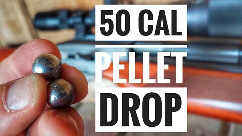 50 Cal Pellet Drop!!! [How Fast Do the 50 Cal Pellets Drop???]