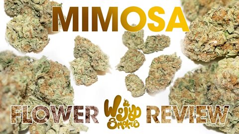 Mimosa Flower Strain Review