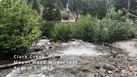 BEAUTIFUL, SERENE & PRISTINE Clark Creek on Elk Meadows Trail! | 4K | Mount Hood Wilderness | Oregon