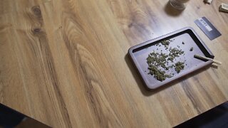 Ryot Walnut Wood Rolling Tray Review