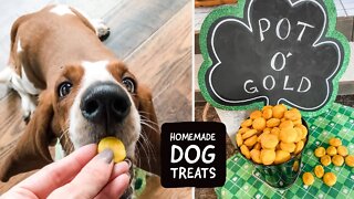 St. Patrick's Day Pot o' Gold Dog Cookies - How to make DIY DOG TREATS