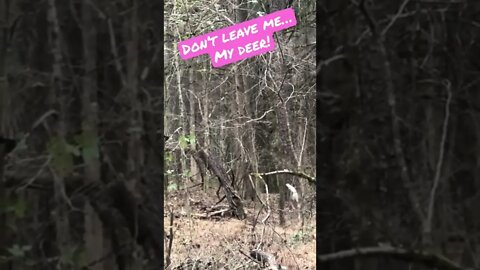 Don’t Leave Me, My Deer