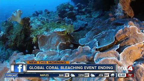 3-year global coral bleaching event over