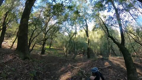 Briones Woods Hike Timelapse