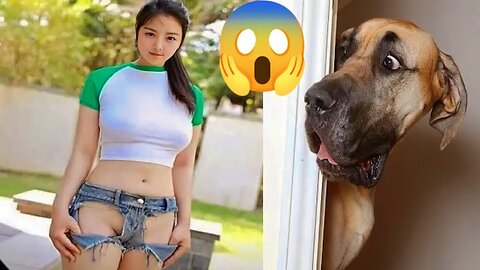 Funny Dog Videos | Funny Dog | Funny Dog Shorts | Funny Dog Prank
