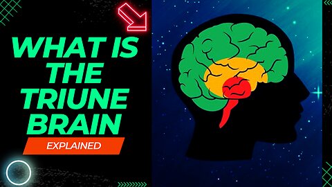 "Unlocking the Triune Brain: A Comprehensive Explanation"