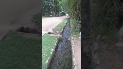 Botanical Garden in Rio de Janeiro