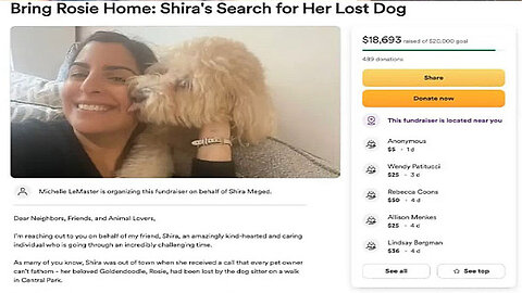 Woman Raised $18K To Found Her Missing Dog