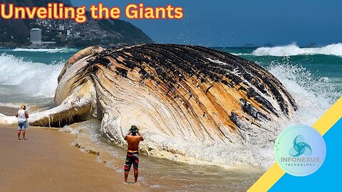 "Unveiling the Giants: 9 Incredibly Massive Sea Creatures Ever Discovered"