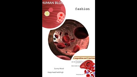 Human's blood picture 🖼️🩸blood cells , composition of blood