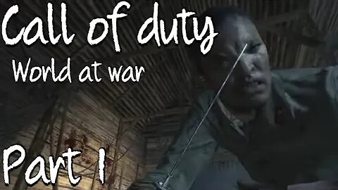 Call of Duty World at war [Part 1]