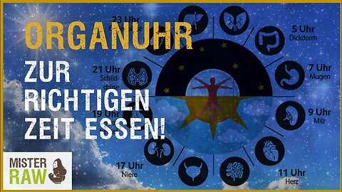 Zur richtigen Zeit essen | Gesund nach der Organuhr