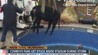 Cow rescued from OKC swimming pool