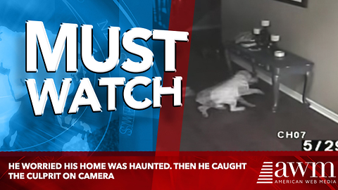 He Worried His Home Was Haunted. Then He Caught The Culprit On Camera