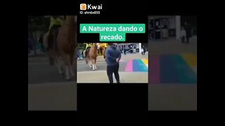 Cavalos Homofóbicos fascistas, Não Passarão. 🤣