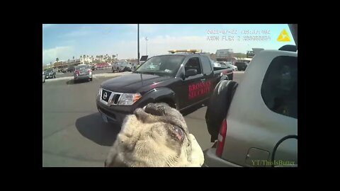 LVMPD body cam video shows dogs locked in hot car, leading to 1 death