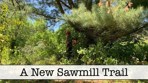 Episode 33 - A New Sawmill Trail - Part 1