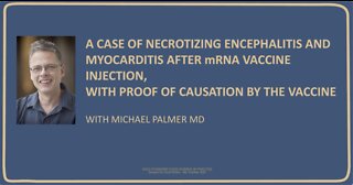 Myocarditis & Necrotizing encephalitis after mRNA vaccine injection