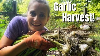 Harvest Garlic With Me!