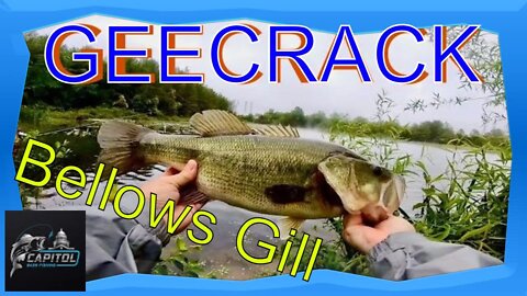 GeeCrack Bellows Gill - Bellows Gill and Deps Cover Scat