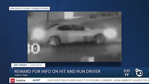 Hit-and-run driver sought in crash that killed pedestrian in North Park