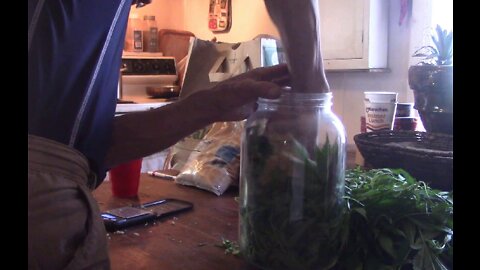 Making Fermented Plant Juice a Cannabis Fertilizer