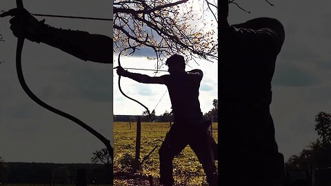 73LBS Saluki Tartar Bow Silhouette Shot #archerylife #archery # #hunting #bowhunting #fieldarchery
