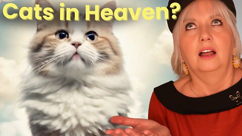 Do Cats Go To Heaven? 🐱🌟 Inspiring Interview with Allia Zobel Nolan
