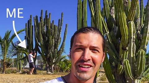 I FOUND ONE OF THE BIGGEST CACTUSES IN THE WORLD? Beauty on Earth