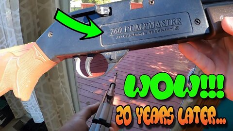 20+ Year Old Rusty BB Gun Hits Targets 80 Feet Away - Pump Master 760